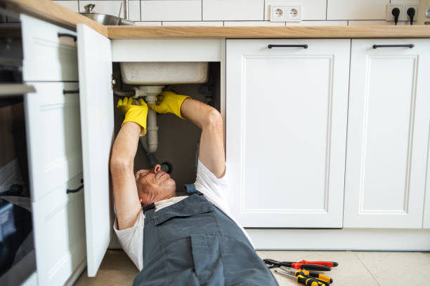 Best Sewer Cleaning Services  in Laurel, DE