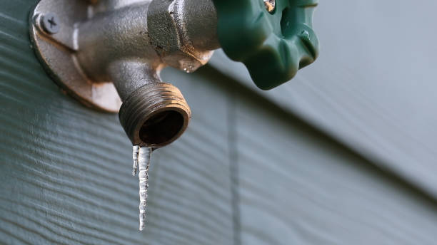 Best Septic Systems  in Laurel, DE